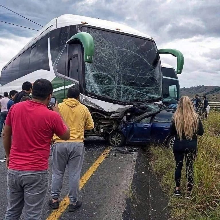 El joven que pasó meses aprendiendo a reconocer aves por su canto hasta descubrir que estaba escuchando de la manera equivocada