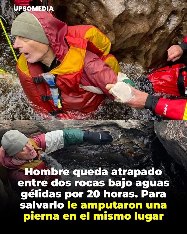 La artesana que pasó meses aprendiendo a tejer canastas y descubrió que la flexibilidad era más importante que la fuerza