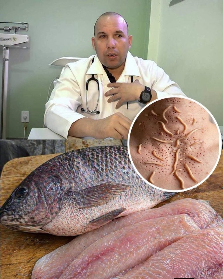 Una familia dejó de comprar tilapia por un video viral hasta que revisó lo que decía la etiqueta