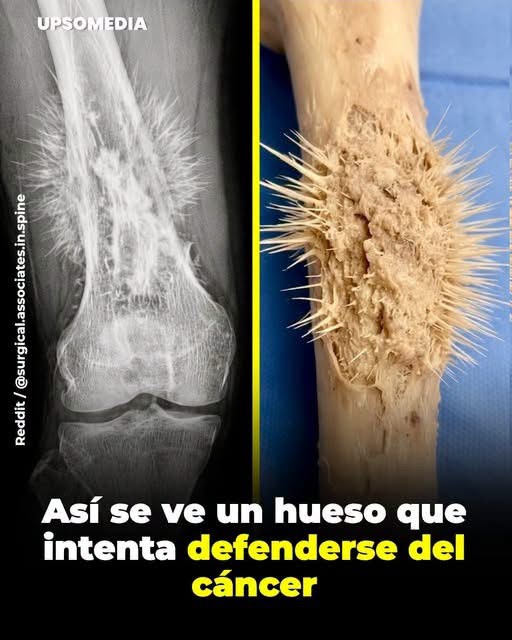 Una figura de cerámica tenía extrañas líneas en su superficie y la explicación sorprendió a quienes la observaban