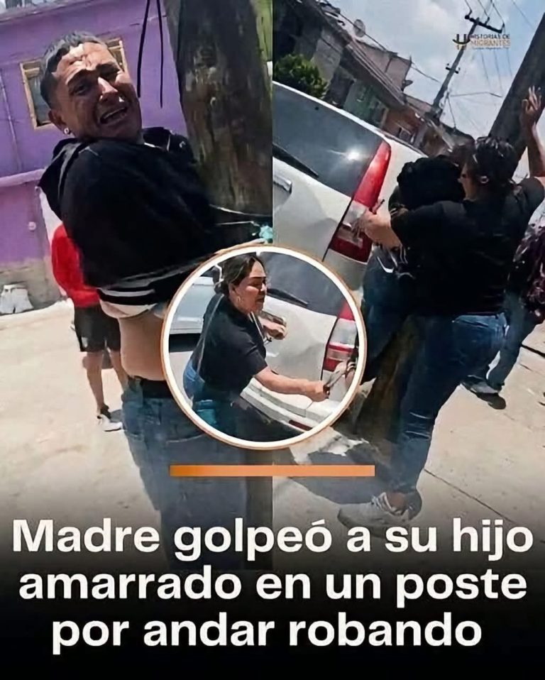 La libreta aparecía cada tarde en el mismo banco y todos creían conocer a su dueño