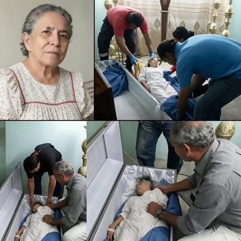 Cuatro hermanos discutieron durante meses por una antigua finca hasta descubrir qué significaban realmente los documentos