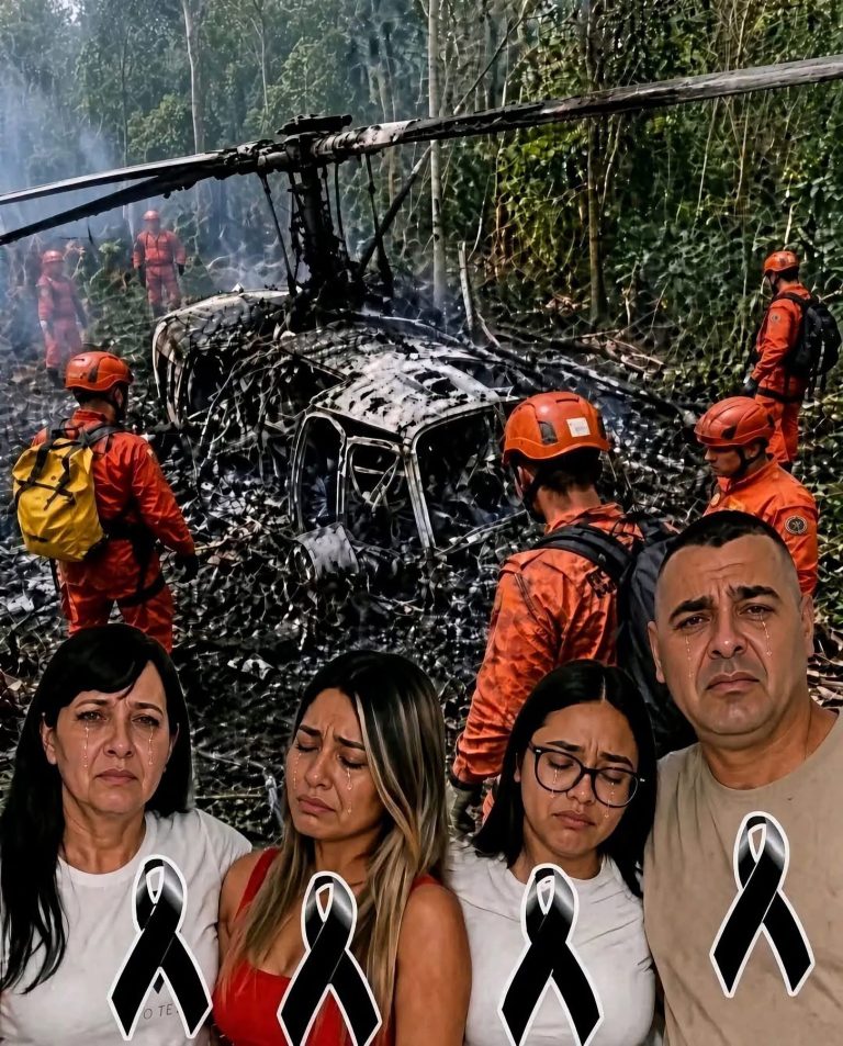 Una enorme campana apareció desmontada en un campo y todos intentaron explicar qué había sucedido