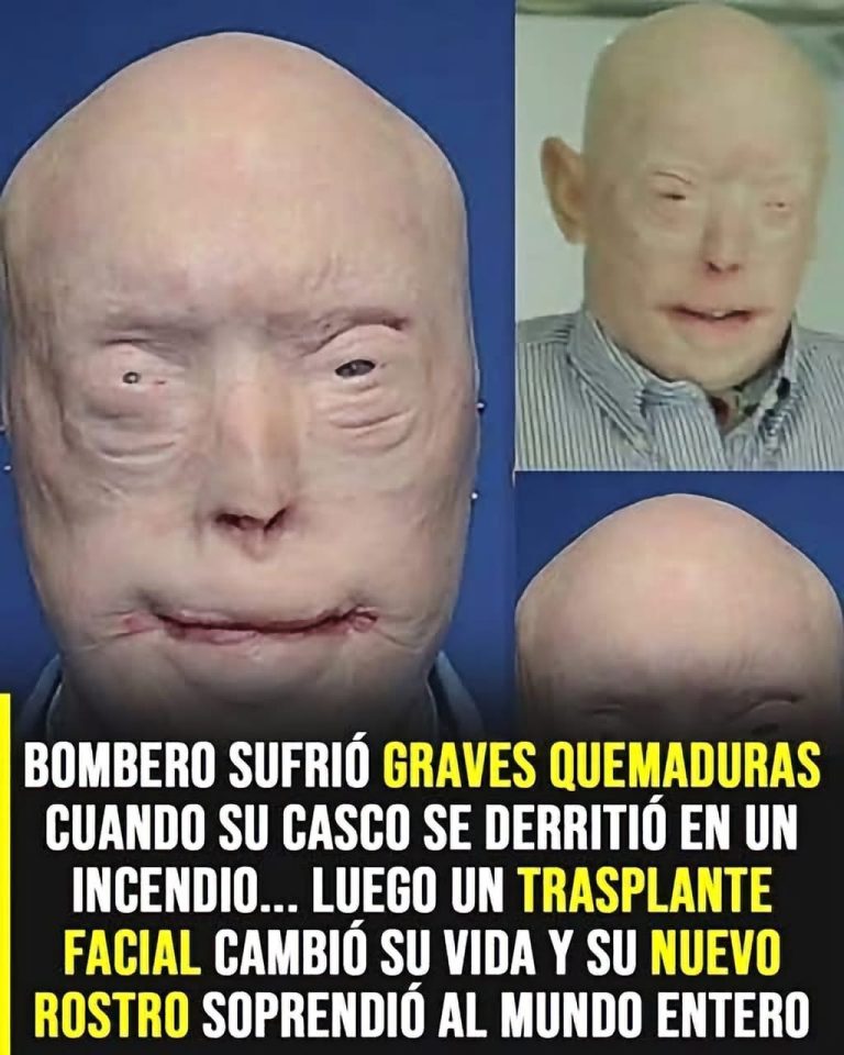 Una joven comenzó a diseñar terrarios y descubrió que el equilibrio era más importante que llenarlos de elementos